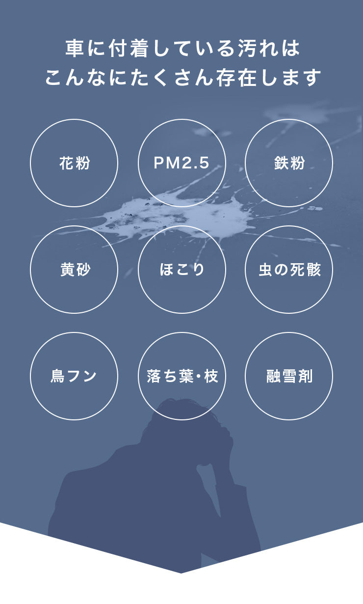 車に付着している汚れはこんなにたくさん存在します 花粉 PM2.5 鉄粉 黄砂 ほこり 虫の死骸 鳥フン 落ち葉･枝 融雪剤